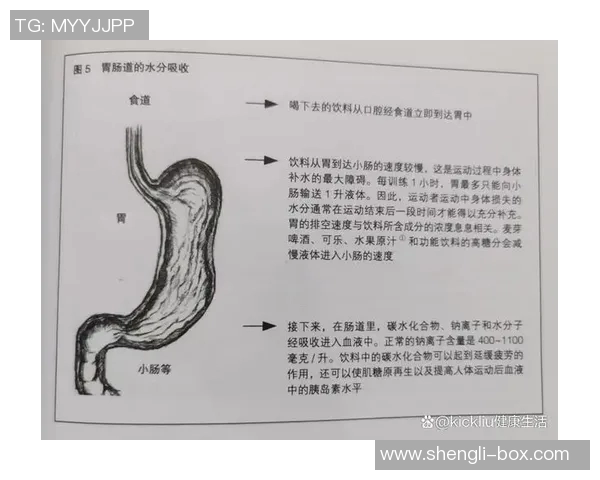北京网球队快攻战术解析与训练策略探讨